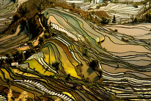 Los campos de arroz en China, paisajes increíbles