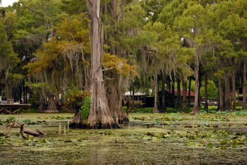 Lago Caddo