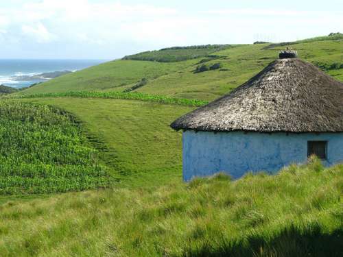 Wild Coast