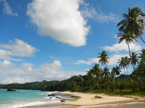 Samaná