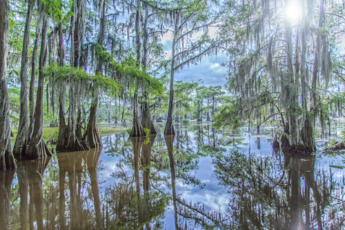 Lago Caddo