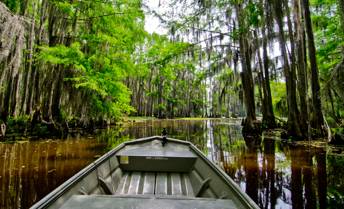 Lago Caddo