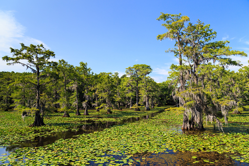 Lago Caddo