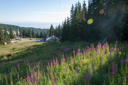 Vitosha en Bulgaria