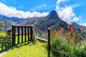 Valle de Cocora
