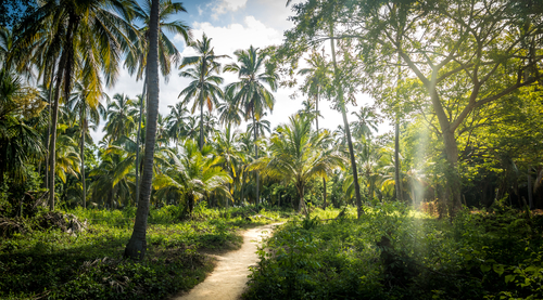 Parque Nacional Tayrona