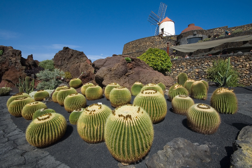 Jardín del Cactus, Lanzarote
