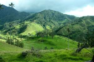 Valle de Cocora