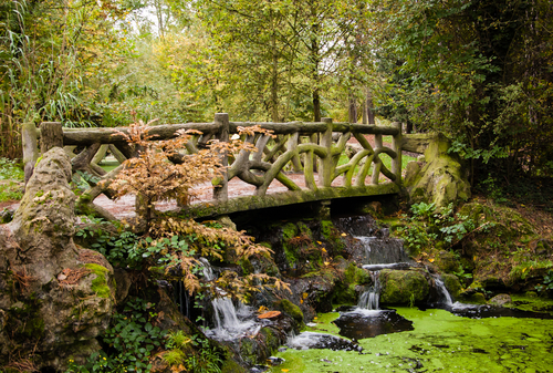 Bosque de Vincennes en París