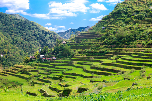 Terrazas de arroz en Filipinas