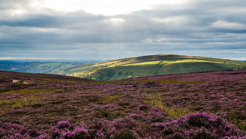 Quantock en Inglaterra