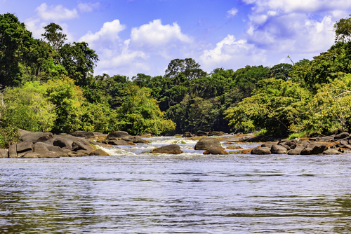 Surinam
