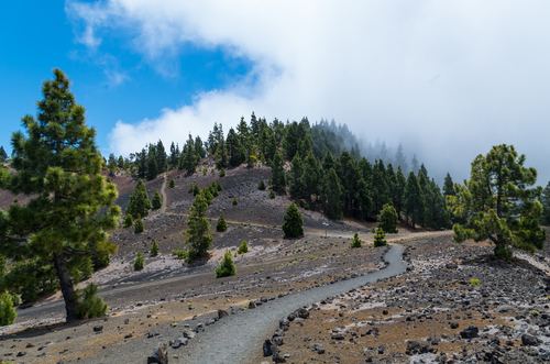 Ruta de los Volcanes en La Palma