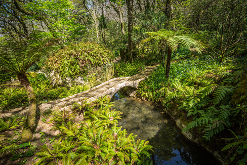 Jardín del Palacio de Monserrate en Sintra