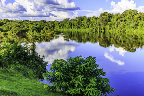 Descubrimos los increíbles paisajes de Surinam