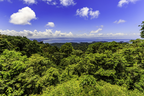 Surinam