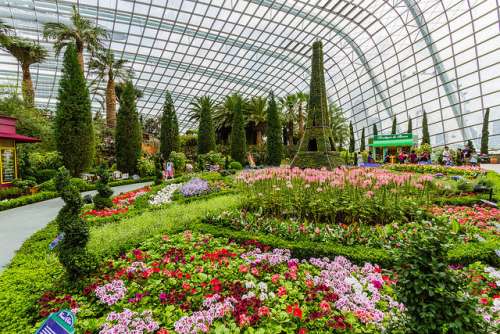 Gardens by the Bay