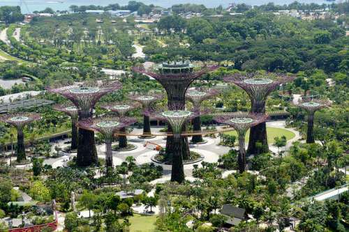 Gardens by the Bay