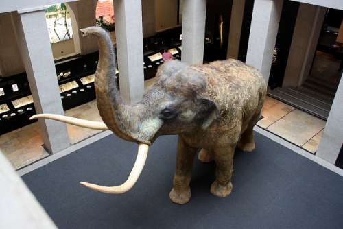 Landesmuseum für Vorgeschichte en Halle