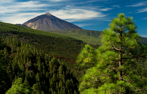 Teide