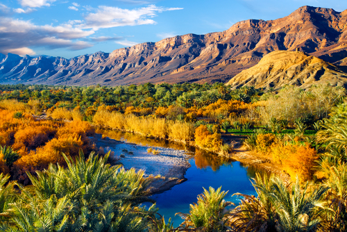 Oasis Lush en Marruecos