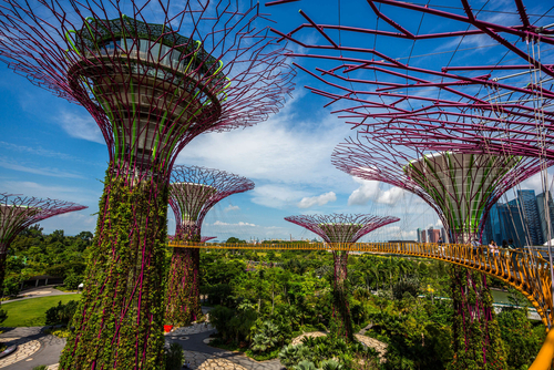 Los espectaculares Gardens by the Bay en Singapur