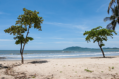 Tamarindo