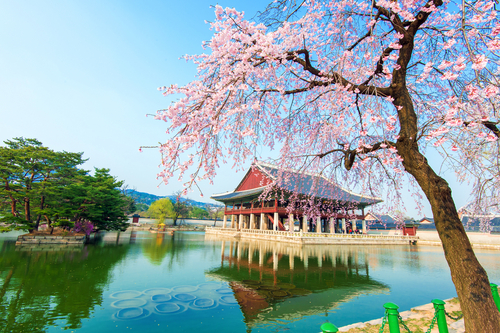 7 razones para visitar Seúl, una ciudad increíble