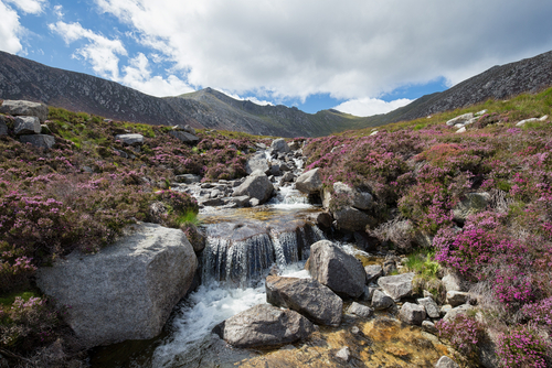 Isla de Arran