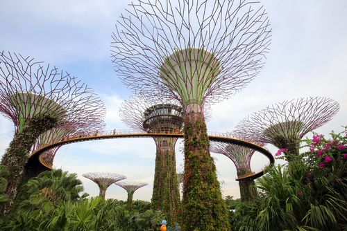 Gardens by the Bay