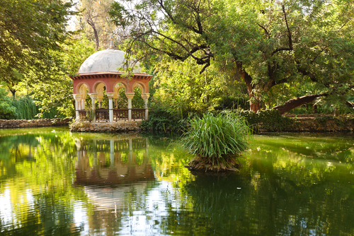 Paseando por el idílico parque de María Luisa de Sevilla