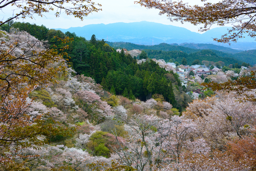 Yoshinoyama