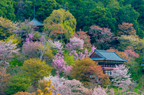 Yoshinoyama
