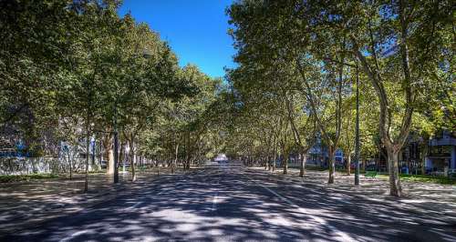 Avenida da Liberdade de Lisboa
