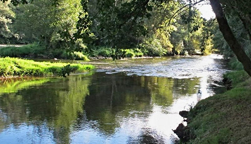 Río Ulla