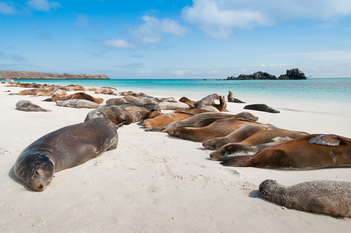 Islas Galápagos