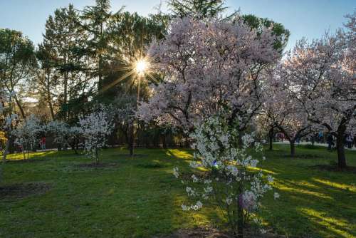 5 parques de Madrid para escapar del estrés