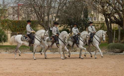 Real Escuela de Arte Ecuestre deJErez
