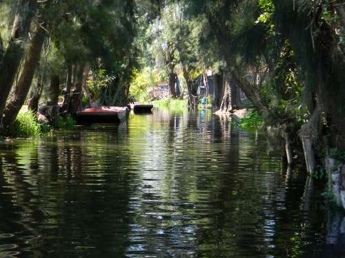 Chinampas en Xochimilco