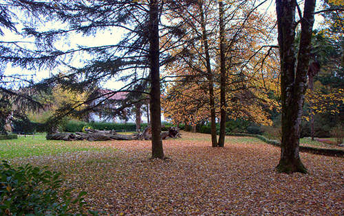 Parque Natural del Señorío de Bértiz