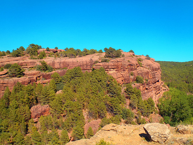 Pinares de Ródeno en Teruel