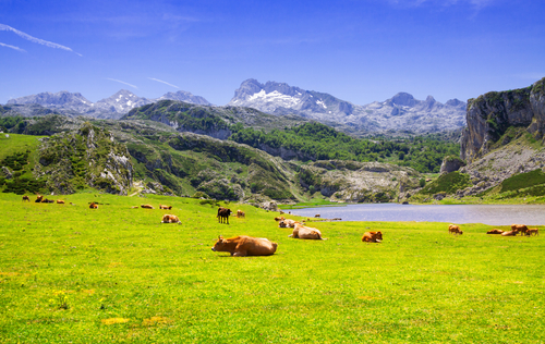 Lago Ercina en Asturias