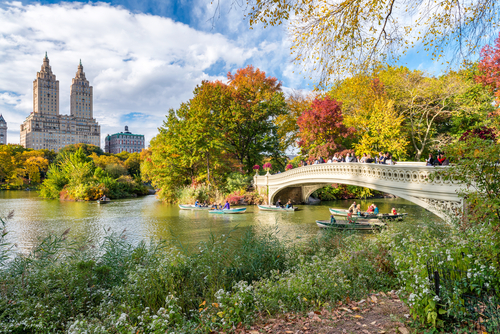 Central Park en Nueva York