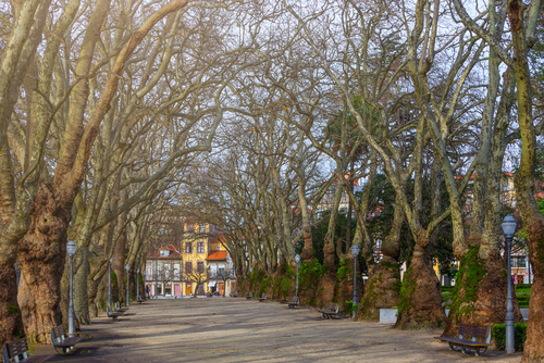 Jardim da Cordoaria en Oporto