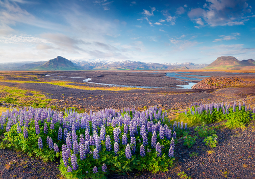 8 cosas que puedes ver y hacer en Islandia