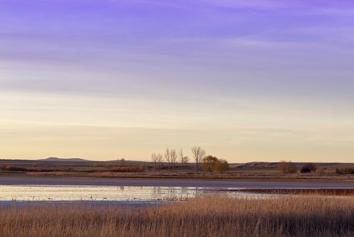 Laguna de Gallocanta en Teruel