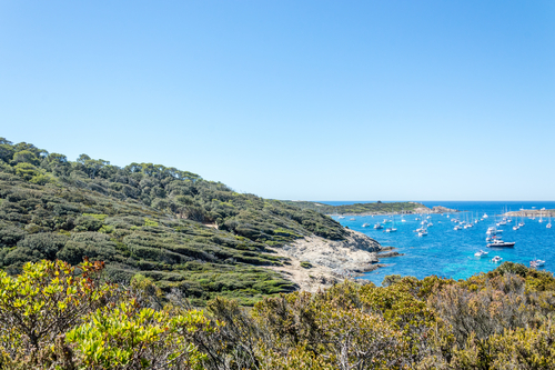 Porquerolles en Francia