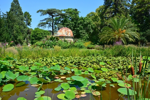 Jardin des Plantes de Montpellier