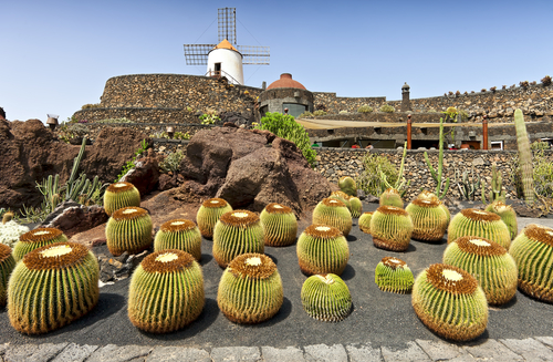Jardín de Cactus en Teguise