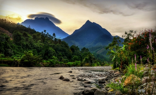 Tambatuon en Borneo